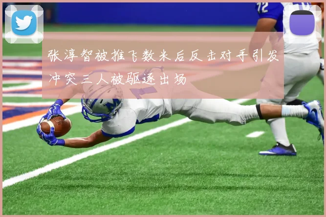 张淳智被推飞数米后反击对手引发冲突三人被驱逐出场