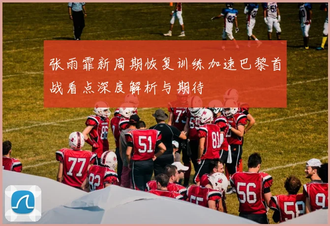 张雨霏新周期恢复训练加速巴黎首战看点深度解析与期待