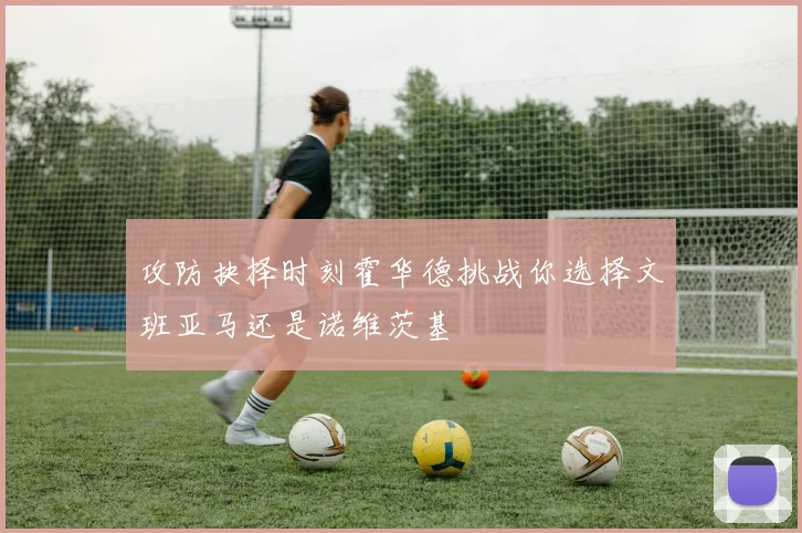 攻防抉择时刻霍华德挑战你选择文班亚马还是诺维茨基