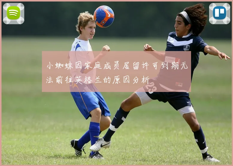 小蜘蛛因家庭成员居留许可到期无法前往英格兰的原因分析