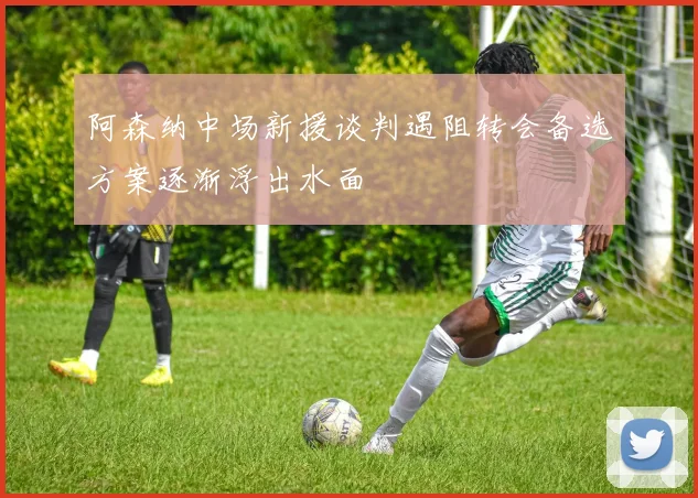 阿森纳中场新援谈判遇阻转会备选方案逐渐浮出水面