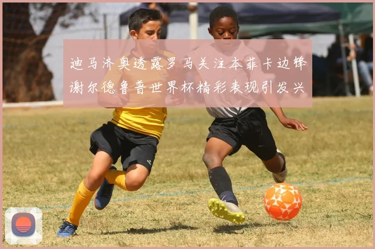 迪马济奥透露罗马关注本菲卡边锋谢尔德鲁普世界杯精彩表现引发兴趣